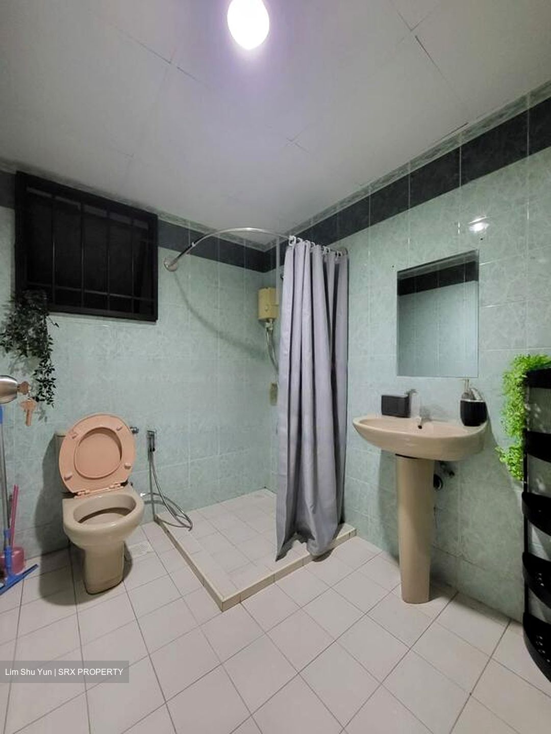 Central Green Condominium (D3), Condominium #468352721